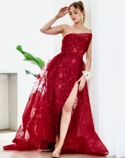 Juliette Strapless Glitter Gown - Wine -Curvy Charm Store 1N3A4637 4920b2b0 b9a7 4ecb b364 1ca3b8c09b9f