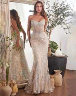 Eudora Beaded Corset Gown - Silver/Nude