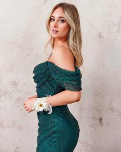 Marlow Off Shoulder Beaded Mesh Gown - Emerald -Curvy Charm Store 45BD03DA 6F55 4241 876C D10B38BE70D7 1 201 a
