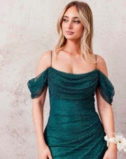 Marlow Off Shoulder Beaded Mesh Gown - Emerald -Curvy Charm Store B1AF2718 7EFD 492E BCDF 52FED5645320 1 201 a
