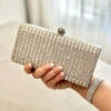 London Clutch - Silver -Curvy Charm Store IMG 4104