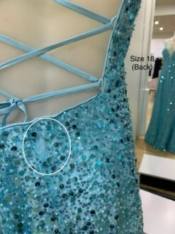 Paige Sequin Gown - Aqua Blue [SAMPLE] -Curvy Charm Store IMG 5089