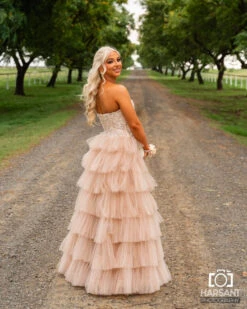 Celeste Layered Strapless Ball Gown - Blush -Curvy Charm Store IMG 9306