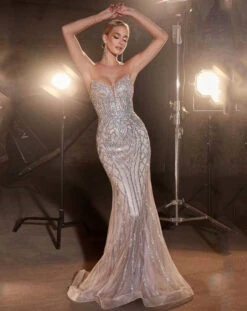 Ramona Strapless Beaded Gown - Silver/Nude -Curvy Charm Store cc6018 silvernude
