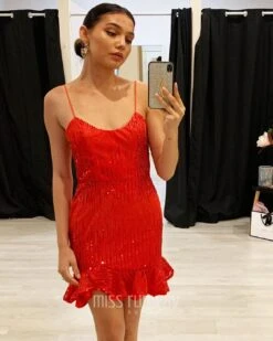 Priya Sequin Dress - Red 8 Priya Sequin Dress - Red -Curvy Charm Store priya sequin dress red front close up